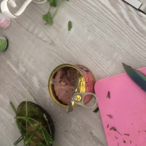 Video by gina_gerson published on August 12,2023 22:20:00 - BestThots