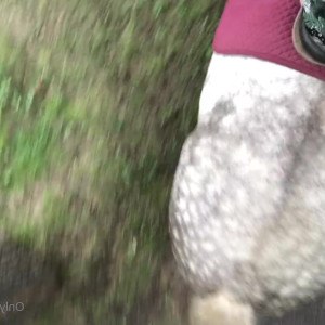 Video by gina_gerson published on March 7,2023 08:07:00 - BestThots