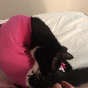 Video by gina_gerson published on March 19,2023 17:50:00 - BestThots
