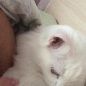 Video by gina_gerson published on August 7,2023 21:50:00 - BestThots