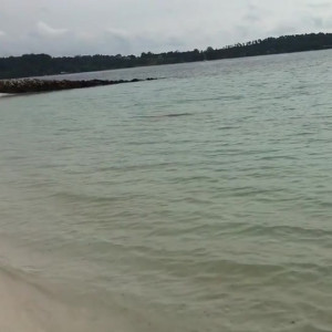 Video by gina_gerson published on April 7,2023 08:22:00 - BestThots