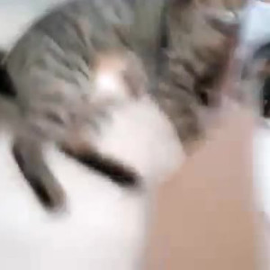 Video by gina_gerson published on April 7,2023 09:50:00 - BestThots
