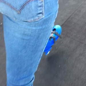 Video by gina_gerson published on August 20,2023 15:15:00 - BestThots