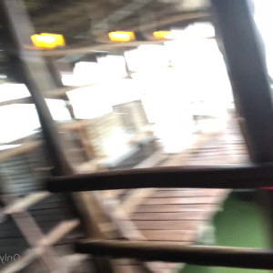 Video by gina_gerson published on August 16,2023 11:10:00 - BestThots