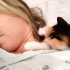 Video by gina_gerson published on March 24,2023 06:49:00 - BestThots