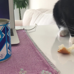 Video by gina_gerson published on July 23,2023 02:08:00 - BestThots