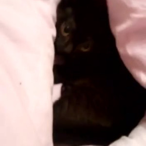 Video by gina_gerson published on August 18,2023 09:15:00 - BestThots