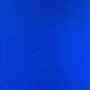 Video by gina_gerson published on March 31,2023 13:31:00 - BestThots