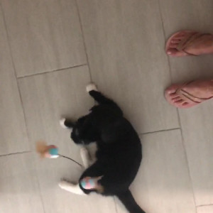 Video by gina_gerson published on July 22,2023 07:56:00 - BestThots
