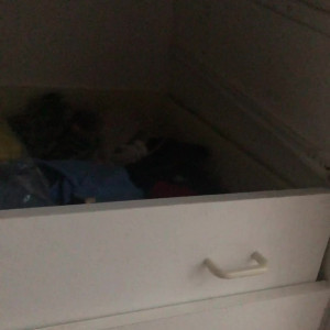 Video by gina_gerson published on August 15,2023 01:37:00 - BestThots