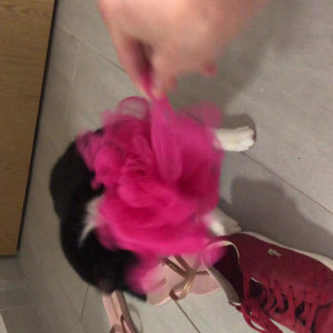 Video by gina_gerson published on March 14,2023 01:56:00 - BestThots