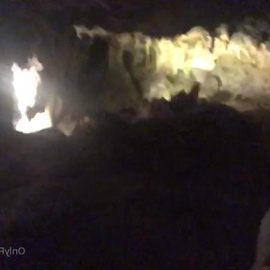 Video by gina_gerson published on March 8,2023 02:23:00 - BestThots