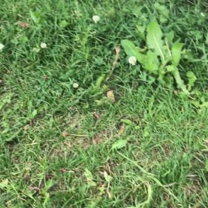 Video by gina_gerson published on August 5,2023 02:47:00 - BestThots