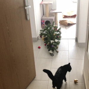 Video by gina_gerson published on March 6,2023 00:45:00 - BestThots