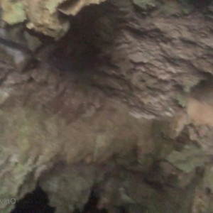 Video by gina_gerson published on March 20,2023 10:01:00 - BestThots