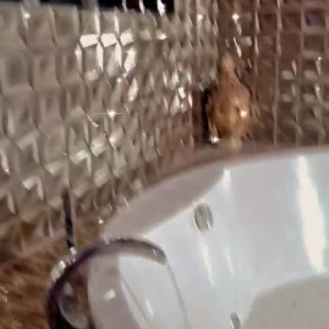 Video by sunny_herrera published on March 31,2023 00:42:00 - BestThots