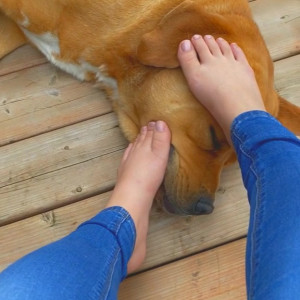 Video by geishakitten published on July 1,2023 06:49:00 - BestThots