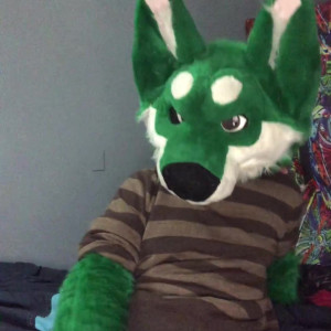 harlthehusky #4595744