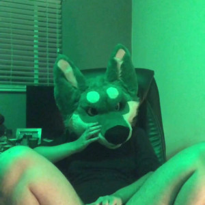 harlthehusky #4757339