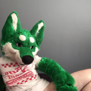 harlthehusky #4804677