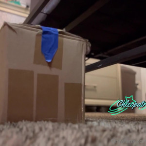Video by thechleopatrapaige published on August 16,2023 21:20:47 - BestThots