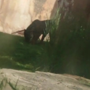 Video by joannajayx published on August 13,2023 18:34:00 - BestThots