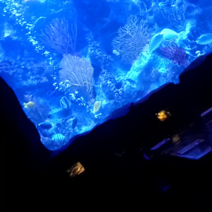 Video by joannajayx published on August 3,2023 14:17:00 - BestThots