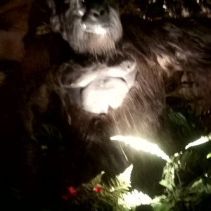 Video by joannajayx published on July 27,2023 02:23:00 - BestThots