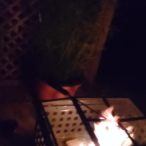 Video by joannajayx published on August 9,2023 18:03:00 - BestThots