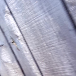 Video by joannajayx published on June 23,2023 19:24:00 - BestThots