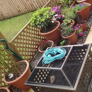 Video by joannajayx published on June 22,2023 22:02:00 - BestThots