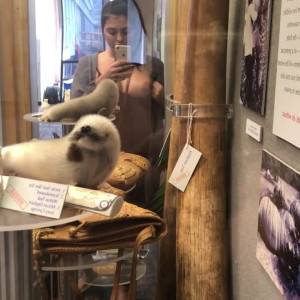 Video by piperrranne published on March 27,2023 03:22:00 - BestThots