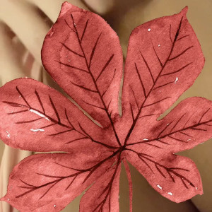 autumnskyexo #3262558
