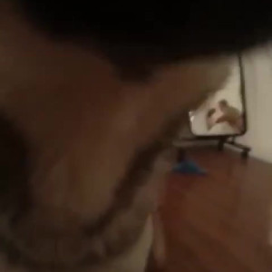 alisapikapika #5733430