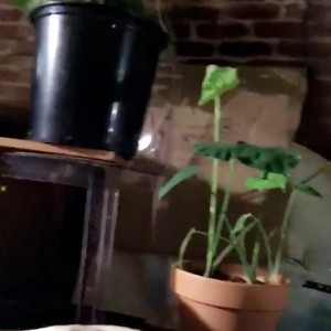 Video by lucyeverleigh published on March 4,2023 05:36:00 - BestThots