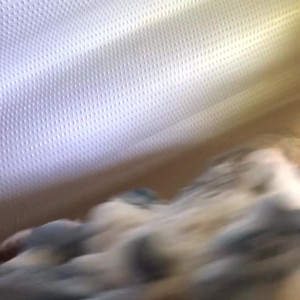 Video by iigor published on June 21,2023 00:53:00 - BestThots