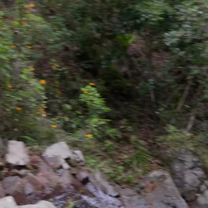 Video by scarletchase published on August 16,2023 22:55:53 - BestThots