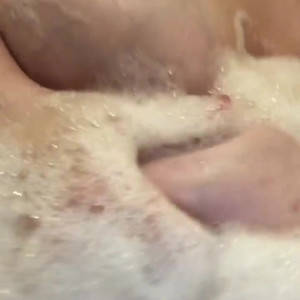 Video by novacurves published on March 27,2023 17:42:00 - BestThots