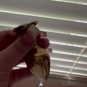 Video by lunaskye9 published on August 17,2023 01:55:16 - BestThots