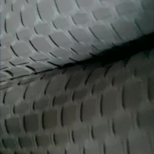 Video by lunaskye9 published on June 15,2023 07:25:00 - BestThots