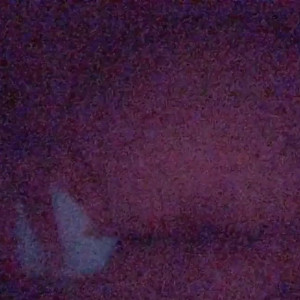 Video by fatgf published on March 1,2023 06:05:00 - BestThots