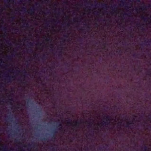 Video by fatgf published on July 7,2023 22:09:00 - BestThots