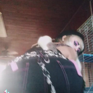Video by official_gloomybaby published on May 29,2023 11:12:00 - BestThots
