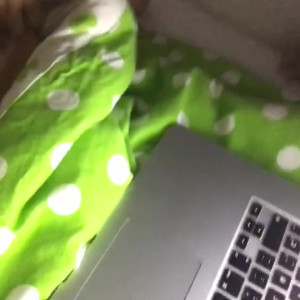 Video by francysbelle published on March 6,2023 01:22:00 - BestThots