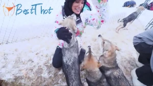 thereallisaann #9737414