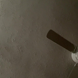Video by ginger-ed published on April 27,2023 06:19:00 - BestThots