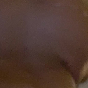 bootyscorpion #5502117
