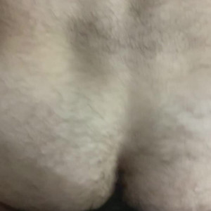Video by pedromessina published on March 29,2023 02:04:00 - BestThots