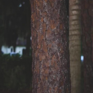 Video by summerlynnhart published on April 28,2023 03:34:00 - BestThots