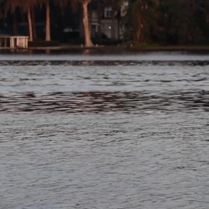 Video by summerlynnhart published on April 7,2023 18:57:00 - BestThots